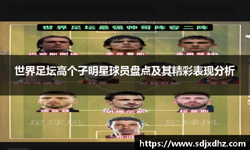 世界足坛高个子明星球员盘点及其精彩表现分析